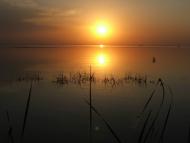 Лошакова Гута з panoramio.com