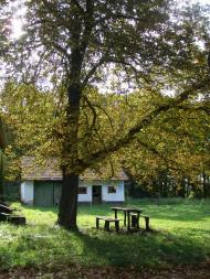 Рідківці з panoramio.com