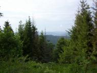 Лужки з panoramio.com