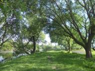 Товстеньке з panoramio.com