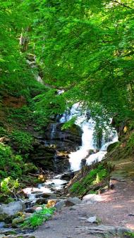 Пилипець з panoramio.com