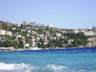 Польове - Останні фото