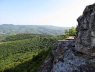 Велике Садове з panoramio.com