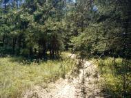 Старобільськ з panoramio.com