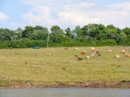 Волоська Балаклія з panoramio.com
