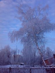 Печеніги з panoramio.com