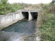 Вербка з panoramio.com