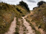 Русин з panoramio.com