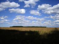 Вітрівка з panoramio.com