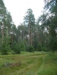 Кислі з panoramio.com