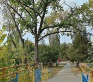 Зугрес з panoramio.com (ч.2) - Зугрэс