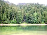 Синевирська Поляна з panoramio.com