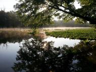 Коропове з panoramio.com