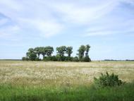 Фасова - Останні фото