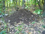 Тур'я з panoramio.com