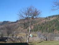 Руська з panoramio.com