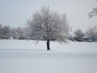 Андріївка з panoramio.com