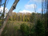 Мусіївка з panoramio.com