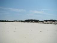 Олепіри з panoramio.com