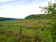 Рогачин з panoramio.com