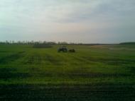 Садки з panoramio.com