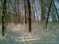 Волноваха з panoramio.com