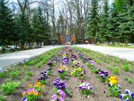 Ківерці з panoramio.com