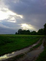 Шевченкове з panoramio.com