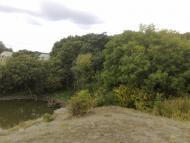 Черемшине - Останні фото