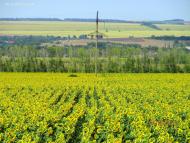 Теплое - Последние фото