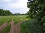 Люботин з panoramio.com (ч.2)