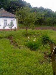 Карпилівка з panoramio.com