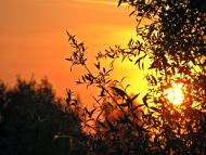 Товкачівка з panoramio.com