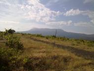 Виноградний - Останні фото