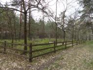 Кашівка з panoramio.com