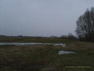 Розвинівка з panoramio.com