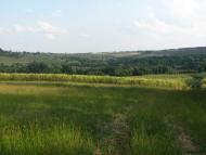 Чернече з panoramio.com