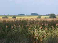 Вітрівка з panoramio.com