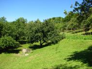 Угля з panoramio.com