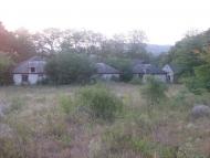 Высочанское - Последние фото