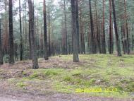 Папірня з panoramio.com