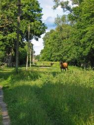 Хотіївка з panoramio.com