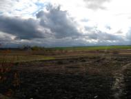 Пустовійтове з panoramio.com