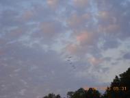 Затишшя з panoramio.com