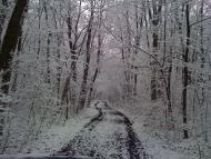 Мусіївка з panoramio.com