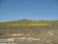 Верхня Слобідка - Останні фото