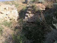 Львове з panoramio.com