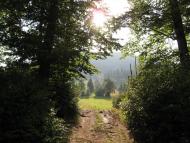 Синевирська Поляна з panoramio.com