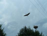 Печеніги з panoramio.com