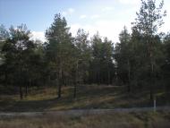 Саги з panoramio.com